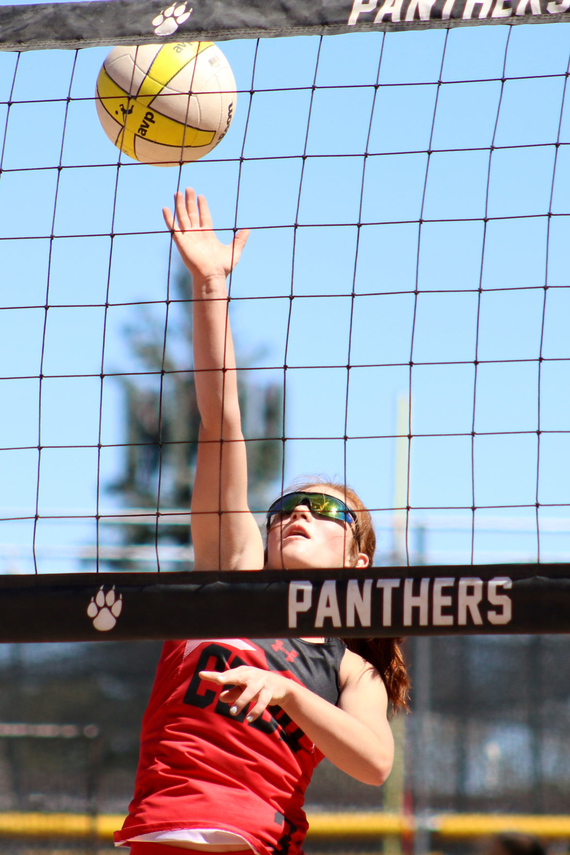 Coconino Beach Volleyball